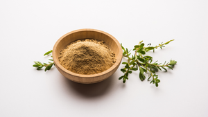 The Benefits of Bacopa: Nature’s Memory Enhancer